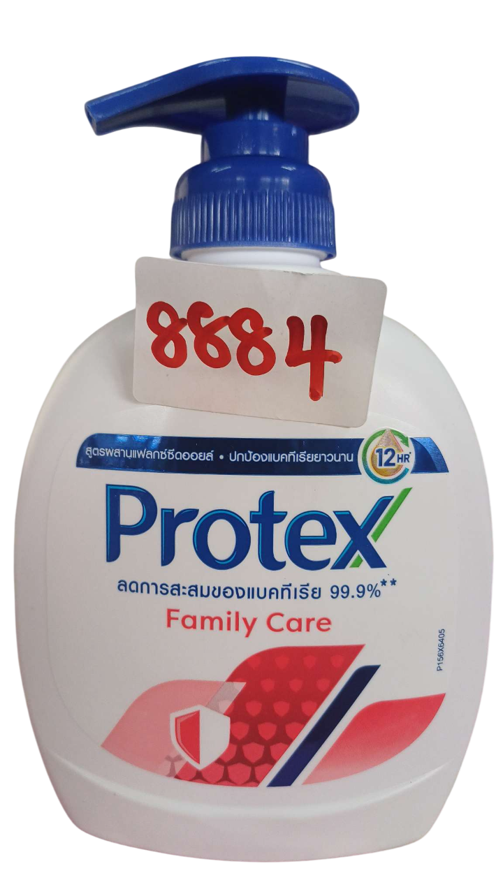 PROTEX HAND SOAP FAMILY 250ml*12PCS