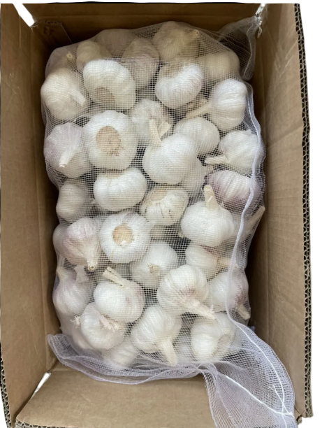 White Garlic 500g*20pcs
