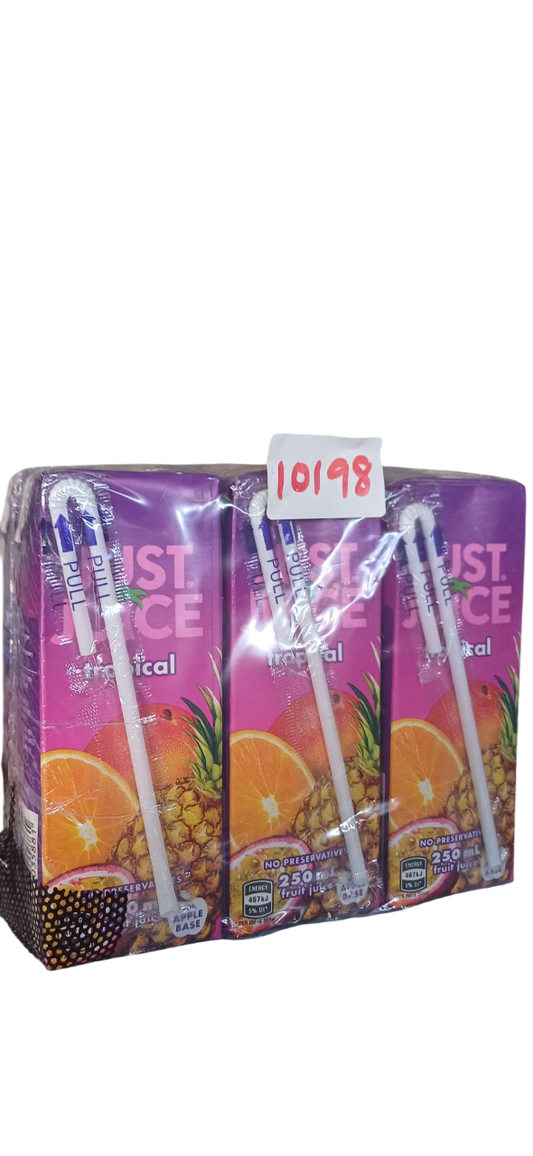 JJ- TROPICAL 250ML*24PCS